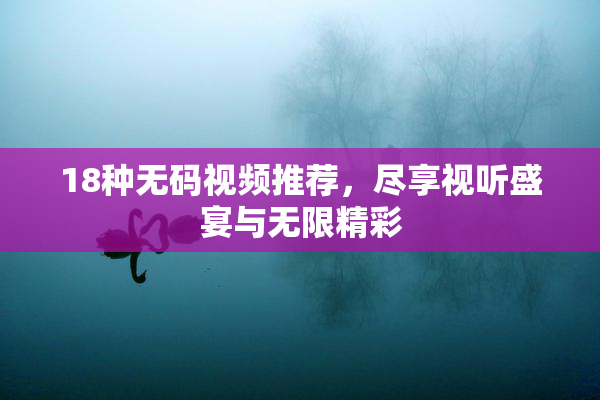 18种无码视频推荐，尽享视听盛宴与无限精彩