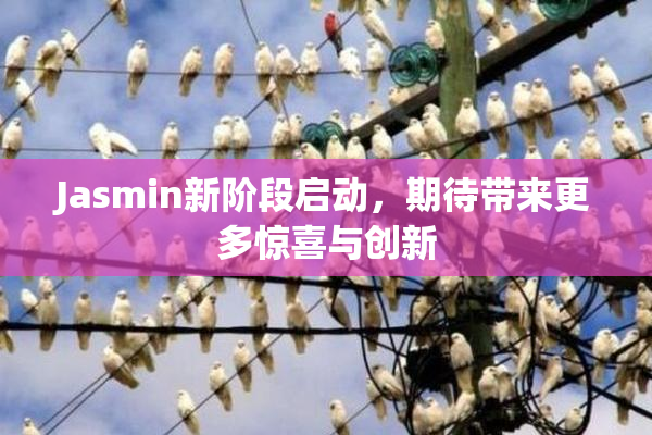 Jasmin新阶段启动，期待带来更多惊喜与创新