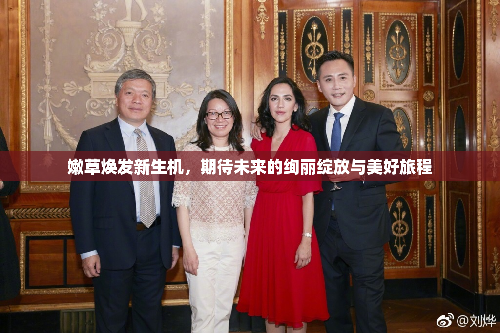 嫩草焕发新生机，期待未来的绚丽绽放与美好旅程