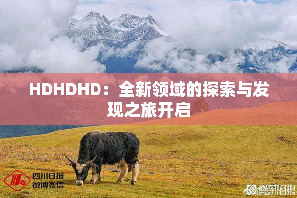HDHDHD：全新领域的探索与发现之旅开启