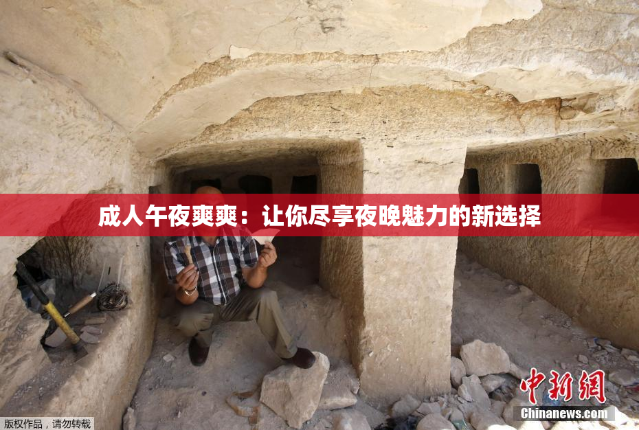 成人午夜爽爽：让你尽享夜晚魅力的新选择
