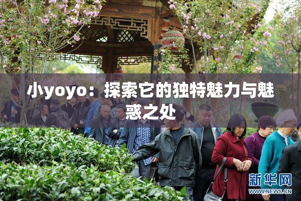 小yoyo：探索它的独特魅力与魅惑之处