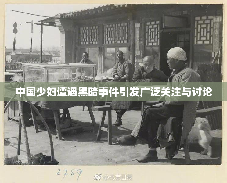 中国少妇遭遇黑暗事件引发广泛关注与讨论
