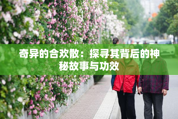 奇异的合欢散：探寻其背后的神秘故事与功效