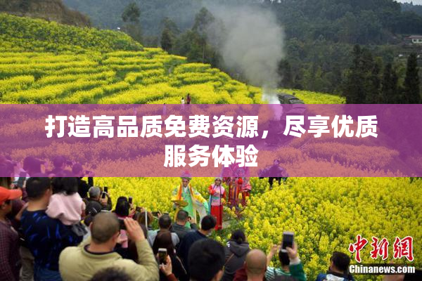 打造高品质免费资源，尽享优质服务体验