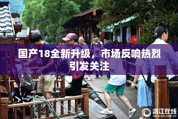 国产18全新升级，市场反响热烈引发关注