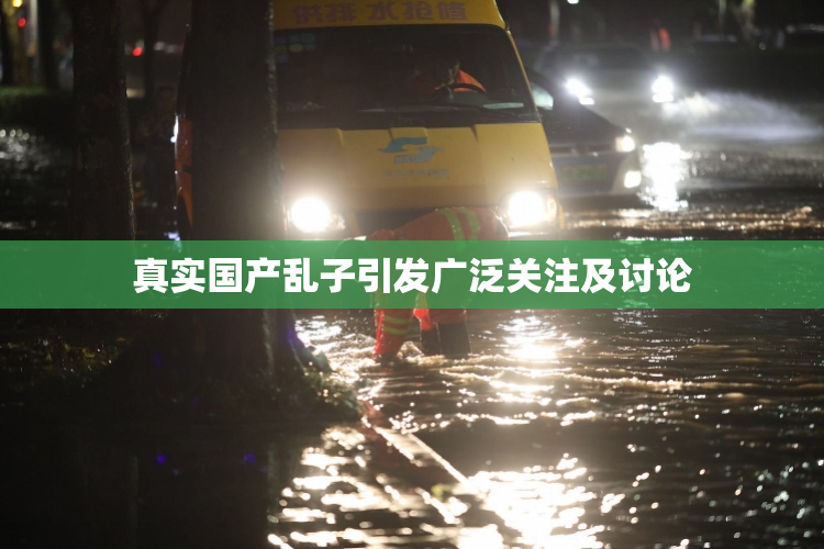 真实国产乱子引发广泛关注及讨论