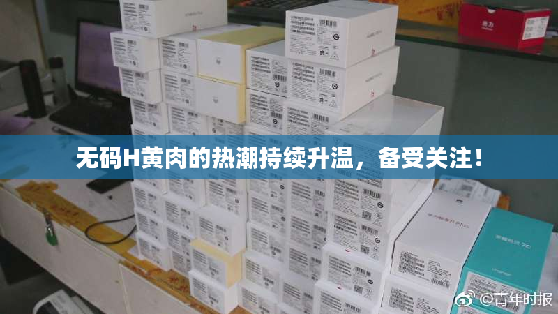 无码H黄肉的热潮持续升温，备受关注！
