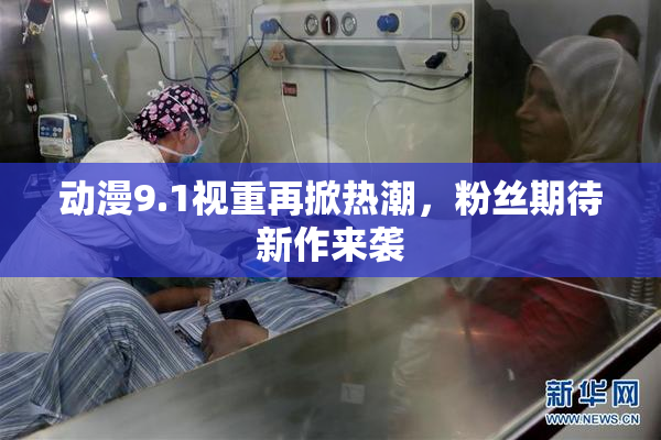 动漫9.1视重再掀热潮，粉丝期待新作来袭