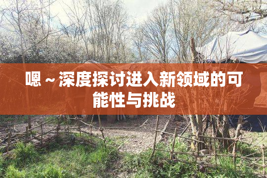 嗯～深度探讨进入新领域的可能性与挑战