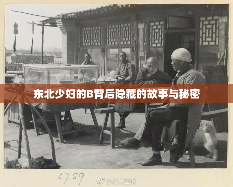 东北少妇的B背后隐藏的故事与秘密