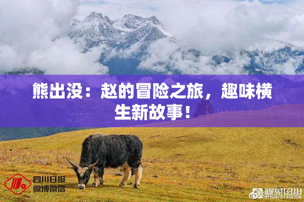 熊出没：赵的冒险之旅，趣味横生新故事！