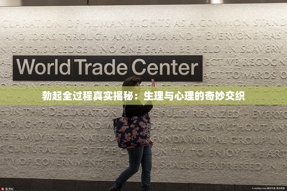 勃起全过程真实揭秘：生理与心理的奇妙交织
