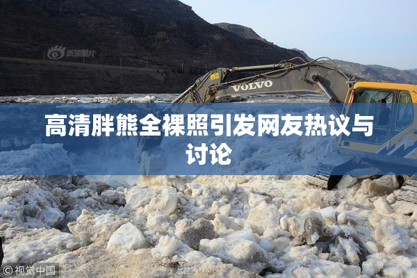 高清胖熊全裸照引发网友热议与讨论