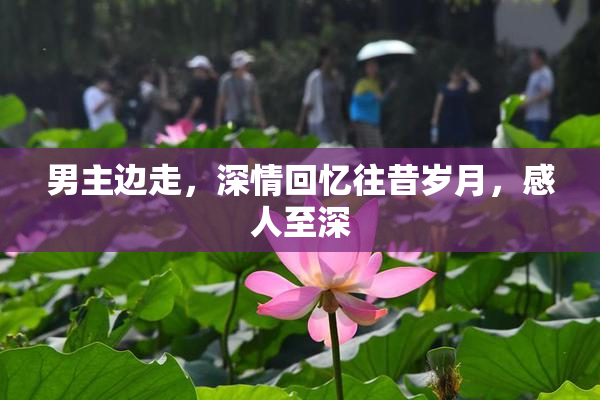 男主边走，深情回忆往昔岁月，感人至深