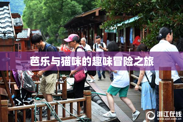 芭乐与猫咪的趣味冒险之旅
