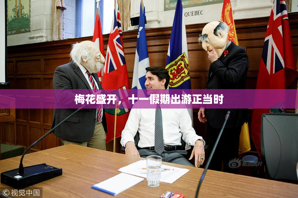 梅花盛开，十一假期出游正当时