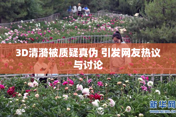 3D清漪被质疑真伪 引发网友热议与讨论