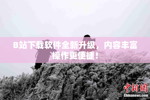 B站下载软件全新升级，内容丰富操作更便捷！