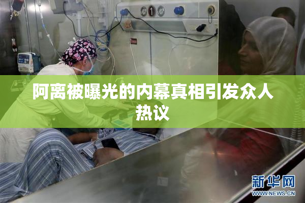 阿离被曝光的内幕真相引发众人热议