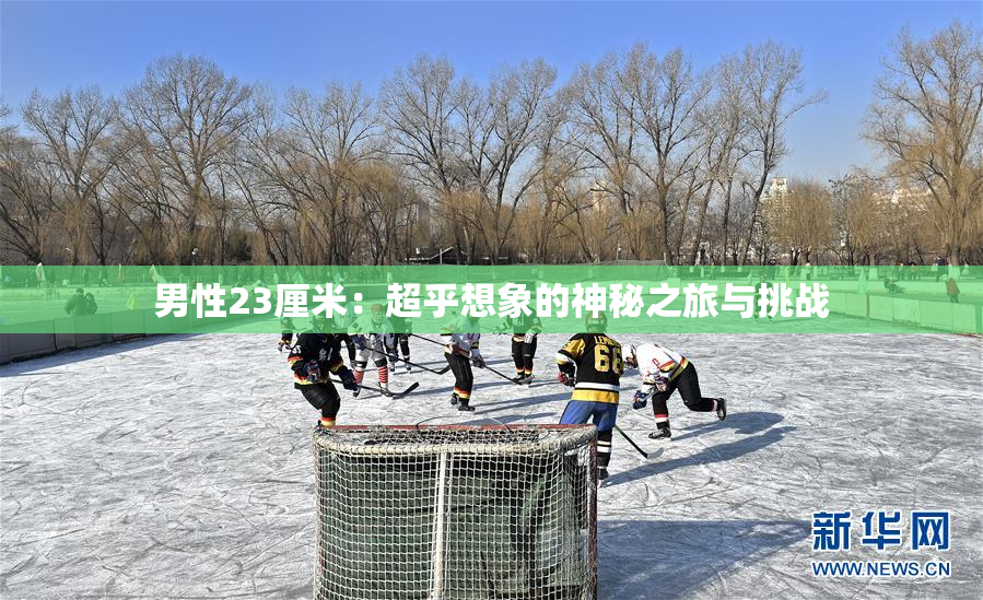 男性23厘米：超乎想象的神秘之旅与挑战