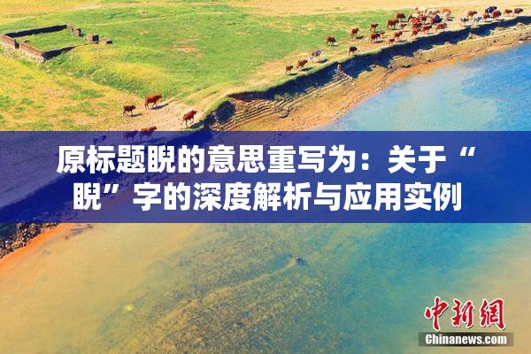 原标题睨的意思重写为：关于“睨”字的深度解析与应用实例