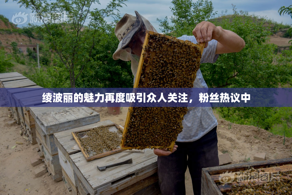 绫波丽的魅力再度吸引众人关注，粉丝热议中