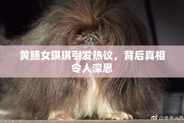 黄鳝女琪琪引发热议，背后真相令人深思