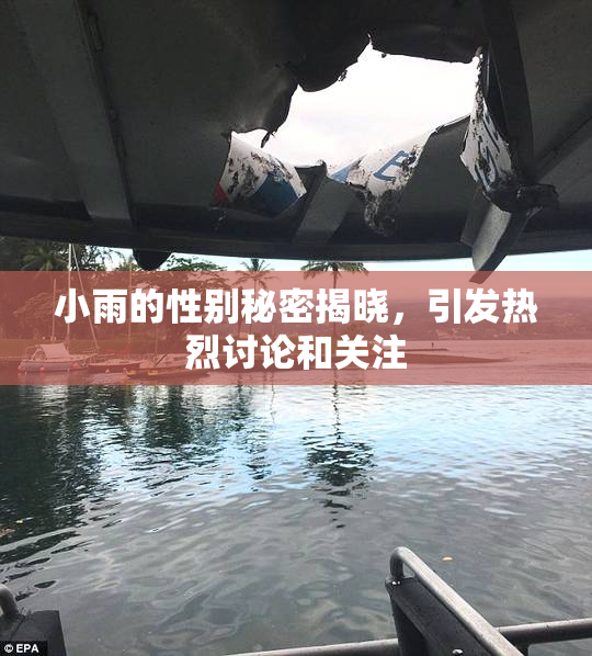 小雨的性别秘密揭晓，引发热烈讨论和关注