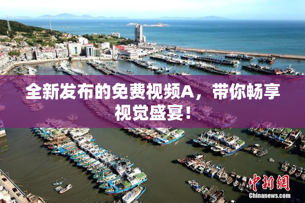 全新发布的免费视频A，带你畅享视觉盛宴！
