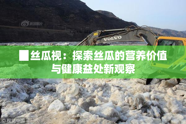 ▉丝瓜视：探索丝瓜的营养价值与健康益处新观察