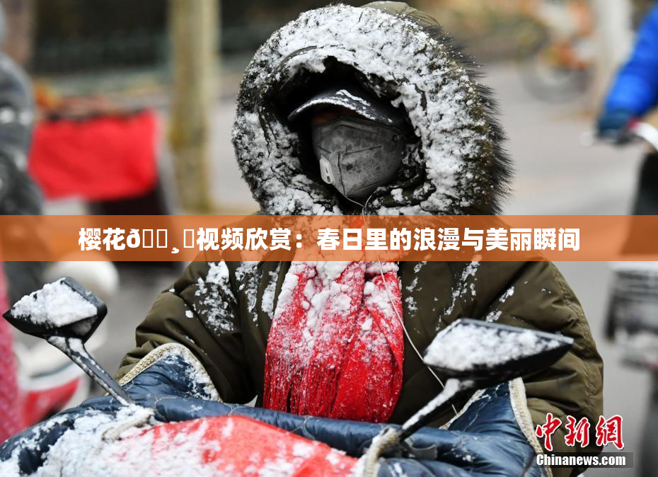 樱花🌸‌视频欣赏：春日里的浪漫与美丽瞬间
