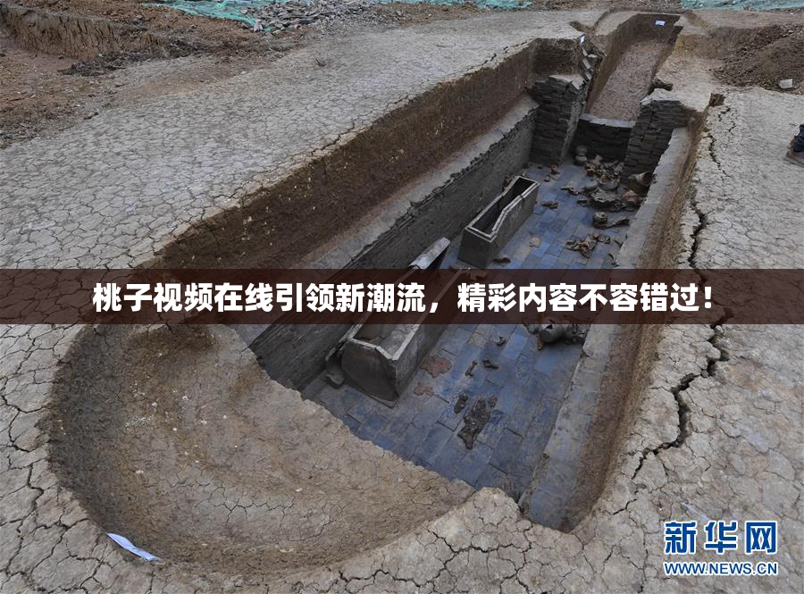 桃子视频在线引领新潮流，精彩内容不容错过！