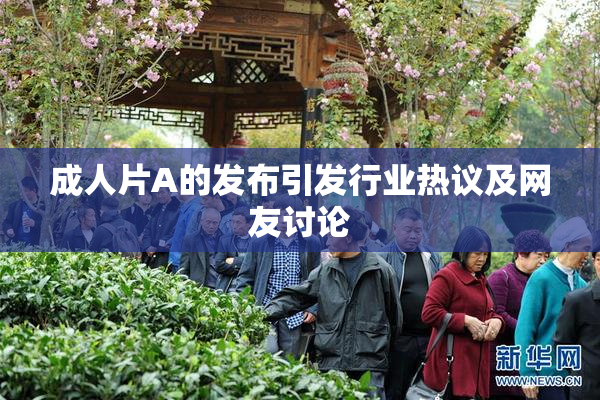 成人片A的发布引发行业热议及网友讨论