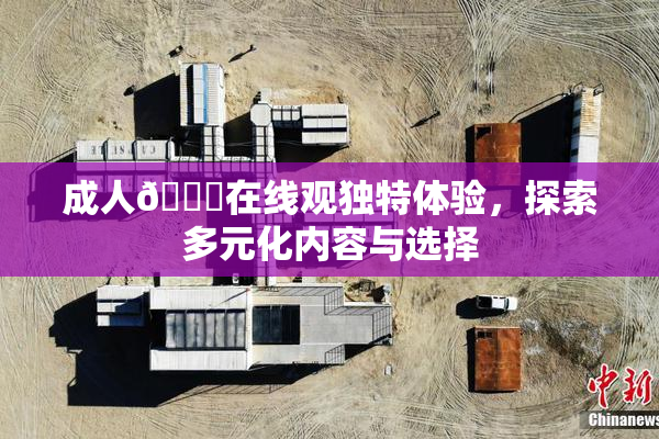 成人🔞在线观独特体验，探索多元化内容与选择