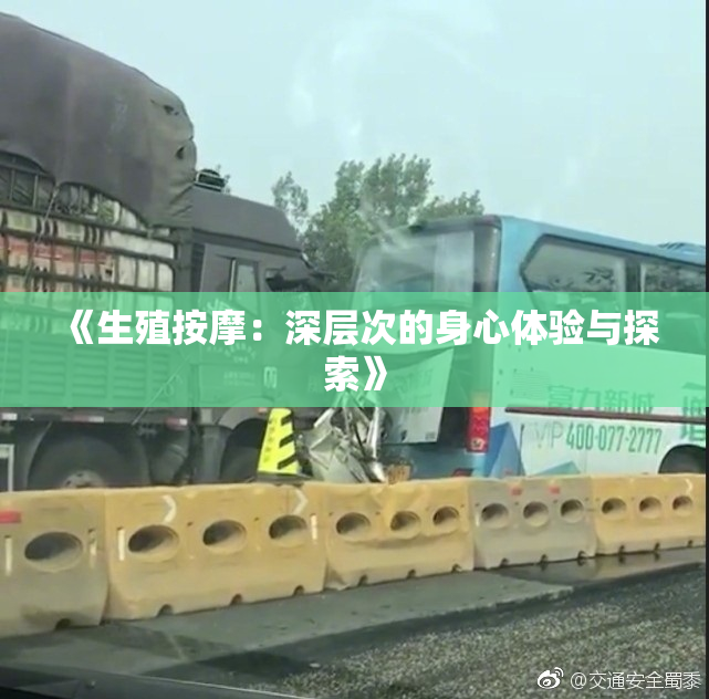 《生殖按摩：深层次的身心体验与探索》
