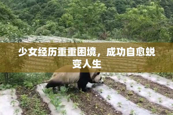 少女经历重重困境，成功自愈蜕变人生