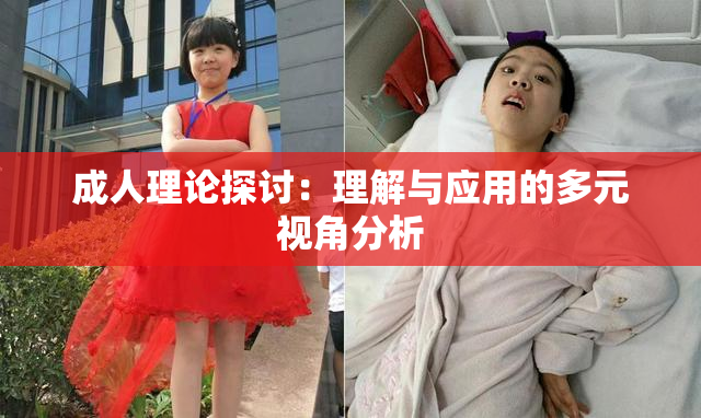 成人理论探讨：理解与应用的多元视角分析