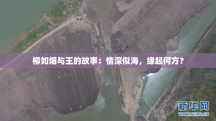 柳如烟与王的故事：情深似海，缘起何方？