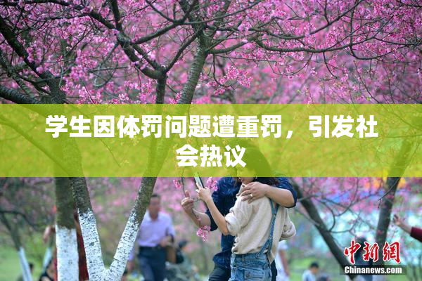 学生因体罚问题遭重罚，引发社会热议