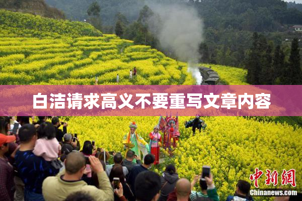 白洁请求高义不要重写文章内容