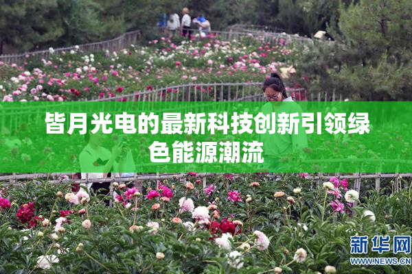 皆月光电的最新科技创新引领绿色能源潮流