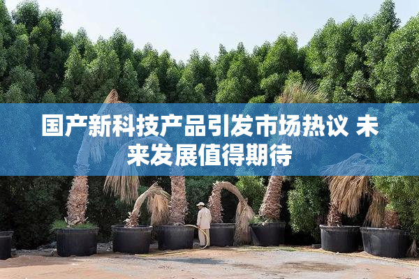 国产新科技产品引发市场热议 未来发展值得期待