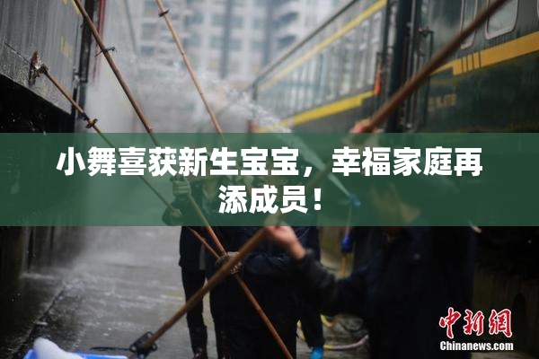 小舞喜获新生宝宝，幸福家庭再添成员！