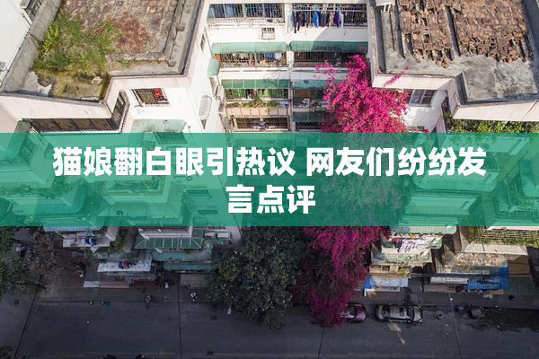 猫娘翻白眼引热议 网友们纷纷发言点评