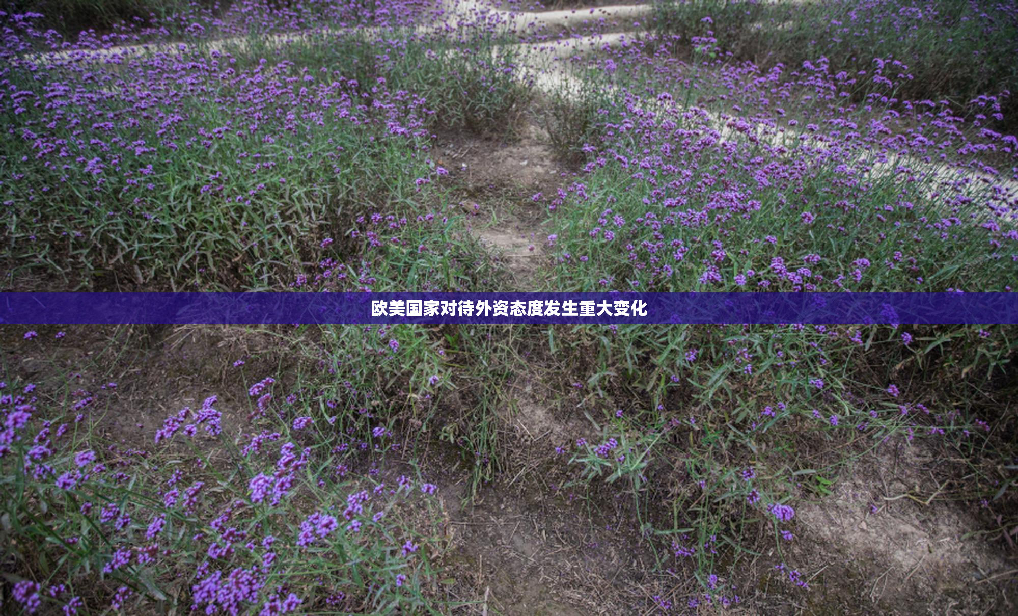 欧美国家对待外资态度发生重大变化