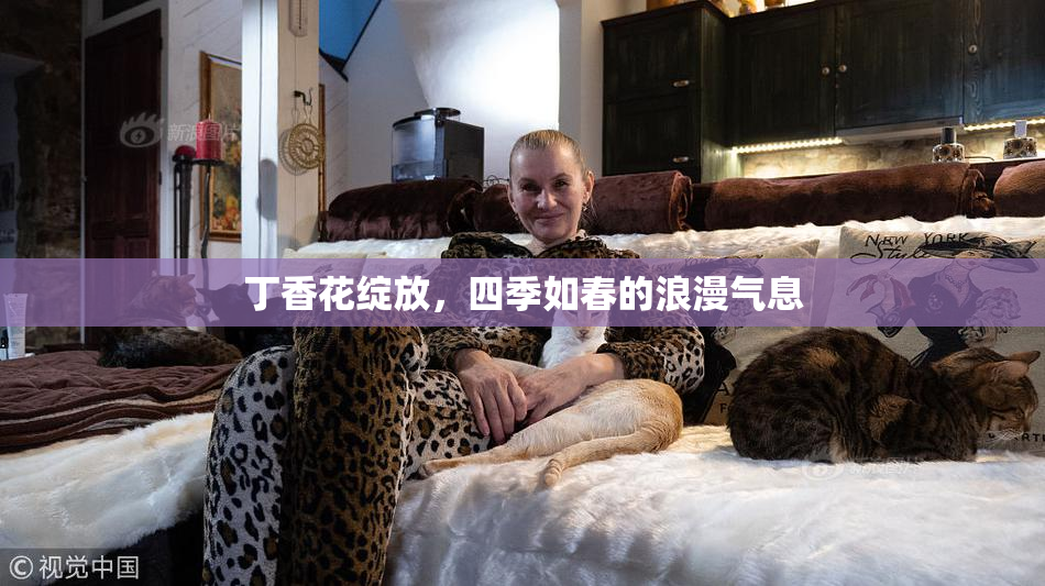 丁香花绽放，四季如春的浪漫气息