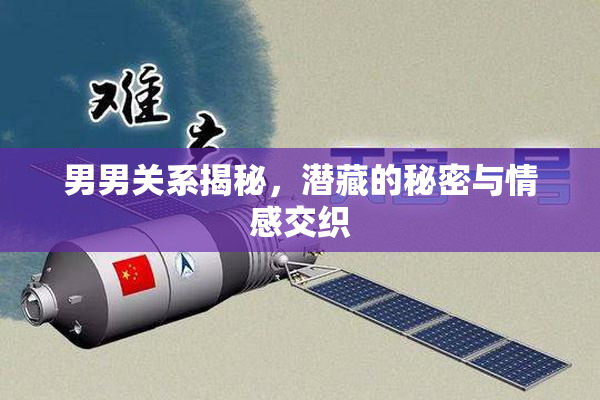 男男关系揭秘，潜藏的秘密与情感交织