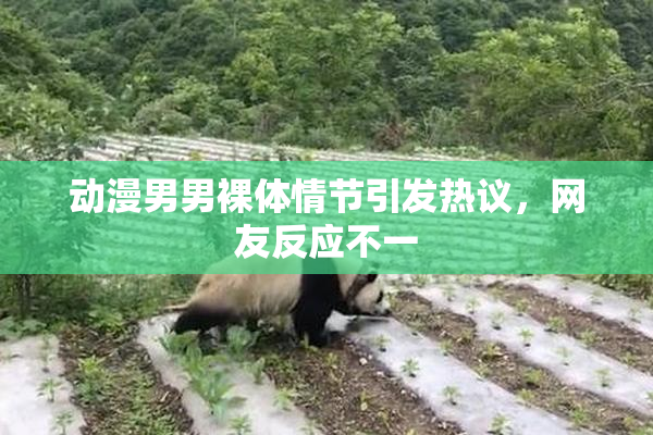 动漫男男裸体情节引发热议，网友反应不一