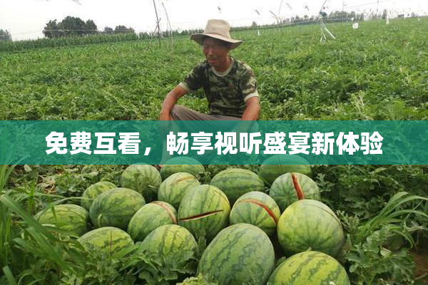 免费互看，畅享视听盛宴新体验